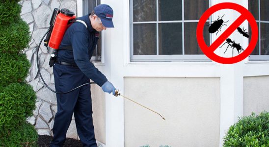 Tefenni Akrep İlaçlama böcek ilaçlama ve haşere kontrolü — ilaclama-tr.com